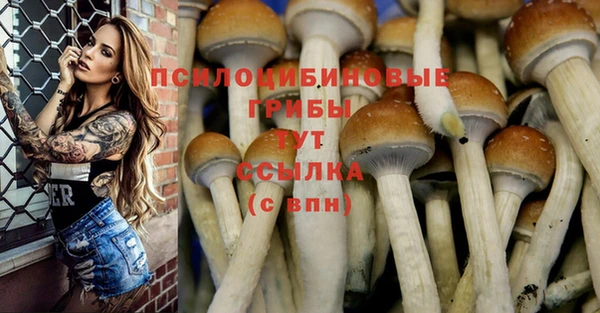 дживик Абинск