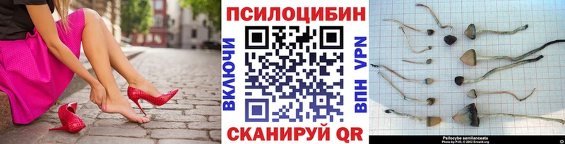 Галлюциногенные грибы Psilocybe  Аксай 