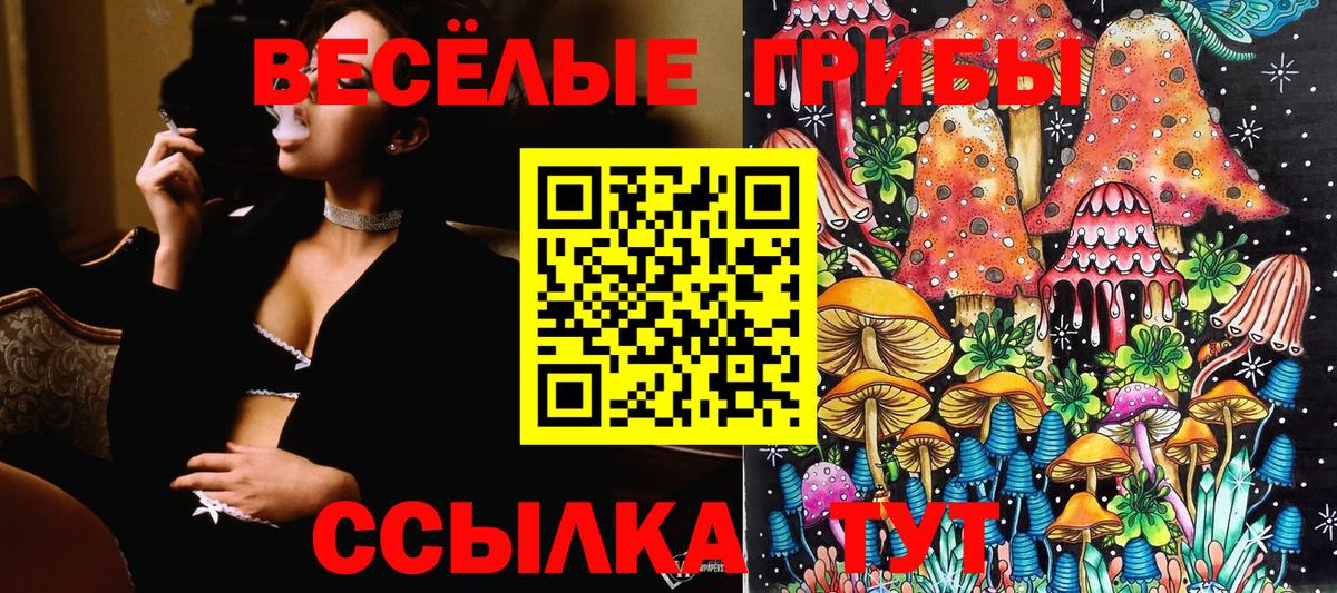 Галлюциногенные грибы Psilocybine cubensis  хочу наркоту  Аксай  Вход с VPN 